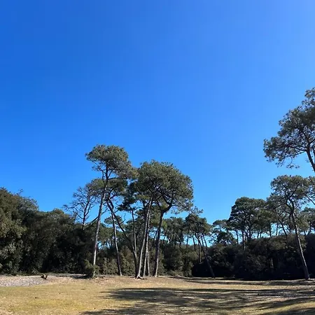 Campsite Mobhilhome Brevin *